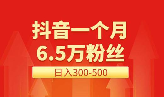 捷源号交易平台粉丝购买_抖音粉丝即时到账服务_抖音粉丝秒到账