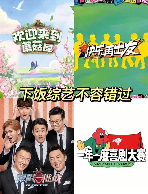 快手配乐音乐_0.5元100个赞快手_快手综艺合作