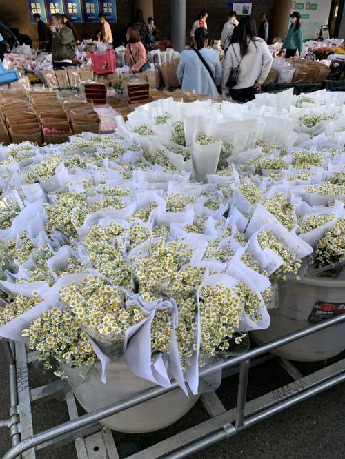拼多多鲜花销售变化_拼多多新质商家扶持计划_拼多多万人互助团