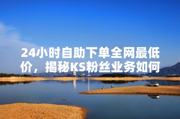 KS业务24小时自助下单平台价格对比_ks自助下单便宜_KS24小时点赞自助服务性价比分析
