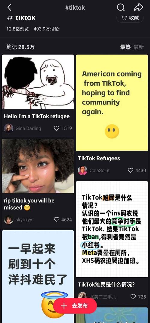tiktok买粉_小红书美国下载量第一_TikTok难民转投小红书