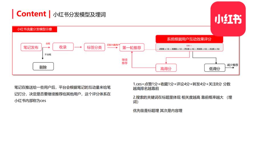 小红书涨粉逻辑的四个方面_小红书内容价值衡量_小红书涨粉技巧