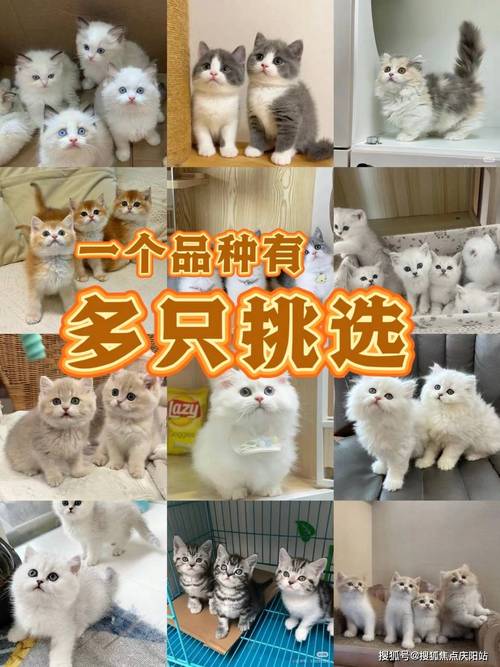 全网业务自助下单商城_24小时DY业务自助下单平台_文心AI自动化处理工具