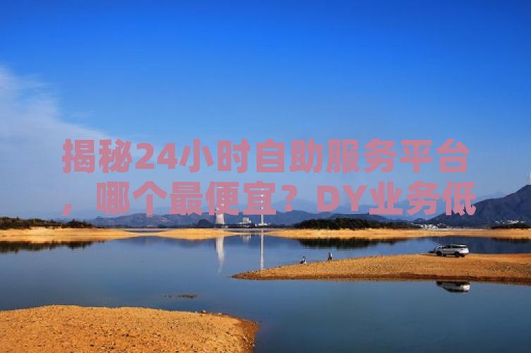 dy自助平台下单_dy低价下单平台优势_dy购物平台操作简便性
