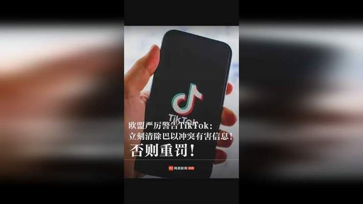 tiktok粉丝购买_TikTok广告透明度问题_欧盟TikTok数字服务法案违规
