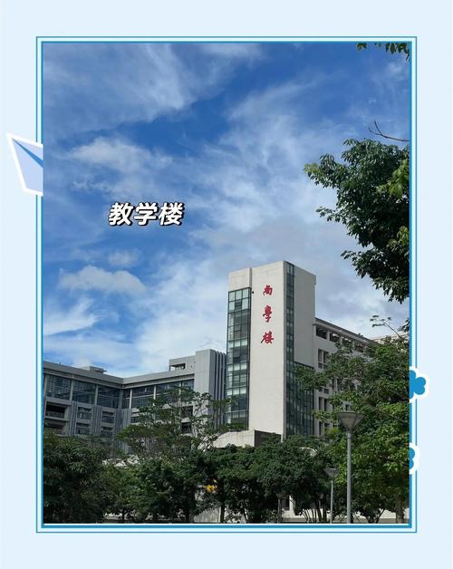 抖音网页版入口_抖音业务24小时在线下单免费_湛江中考