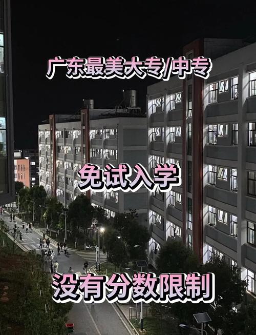 湛江中考_抖音业务24小时在线下单免费_抖音网页版入口