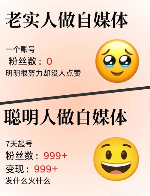 吕白玩转小红书教程_小红书涨粉逻辑的四个方面_小红书运营涨粉变现