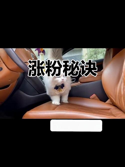 快手涨热度掌上工具_Aauto Faster辅助软件_买热度快手