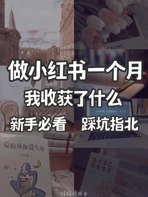 _ 小红书相亲分析涨粉 _小红书涨粉平台