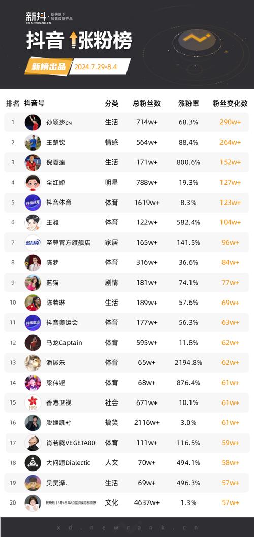 小红书涨粉策略案例分析_怎么才能在小红书上增加粉丝_小红书2022粉丝排行榜