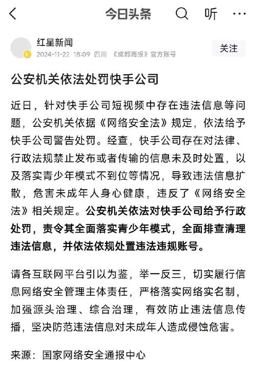有赞快手项目组公告_快手直播电商限售处罚_快手涨赞工具免费
