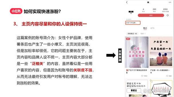 小红书冷启动涨粉秘籍_精准定位涨粉技巧_怎么才能在小红书上增加粉丝