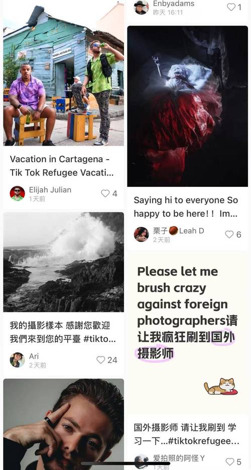 小红书外国用户增长_TikTok难民小红书迁移红利_小红书涨粉平台