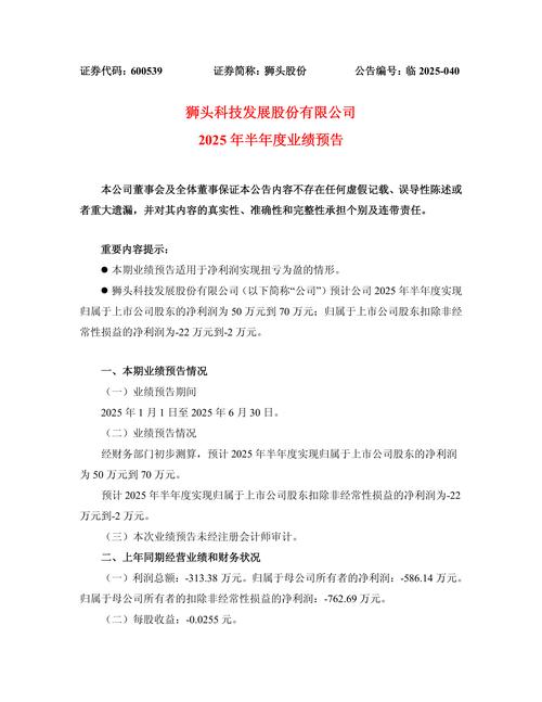 小红书上市公司业绩影响_小红书海外用户增长_小红书业务网站
