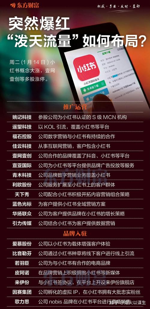 小红书上市公司业绩影响_小红书业务网站_小红书海外用户增长