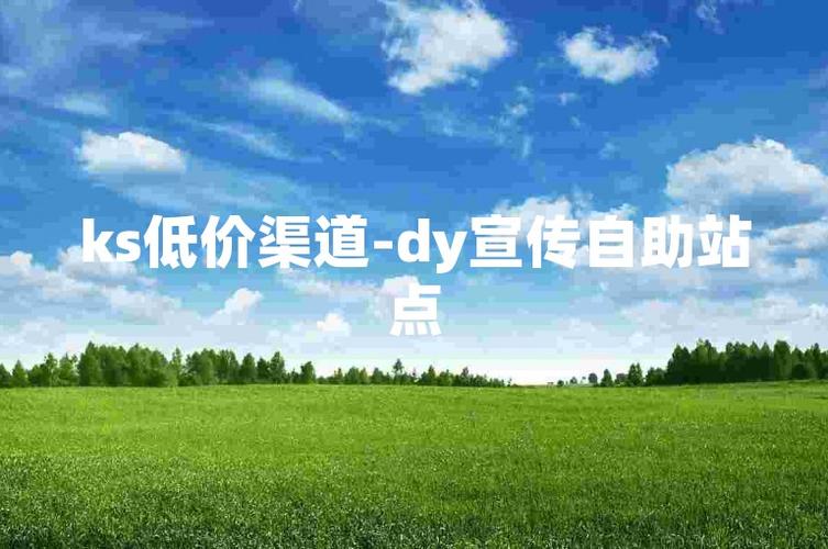 自助网站工具_全网最低价24小时自助下单软件_KS DY运营成本降低