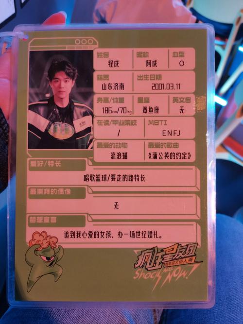 窃走粉丝软件_明星保镖游戏_疯狂粉丝手游