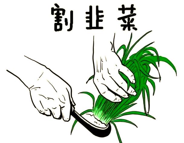 快手双击平台ks下单-稳定_快手双击平台_AI精准投喂机器人掌柜
