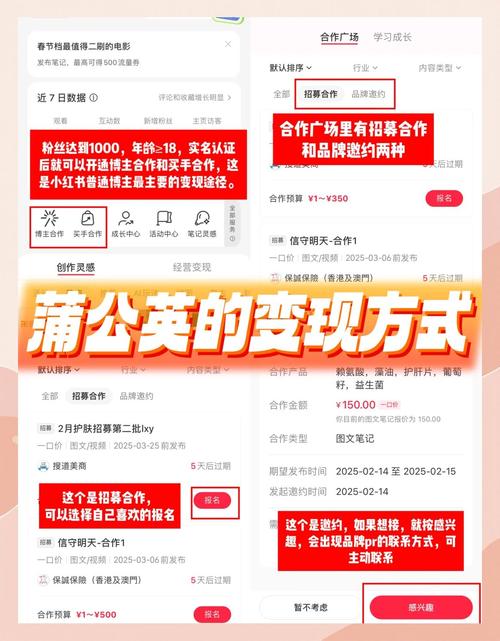 小红书涨粉可以赚钱吗_小红书变现方式_好物体验笔记