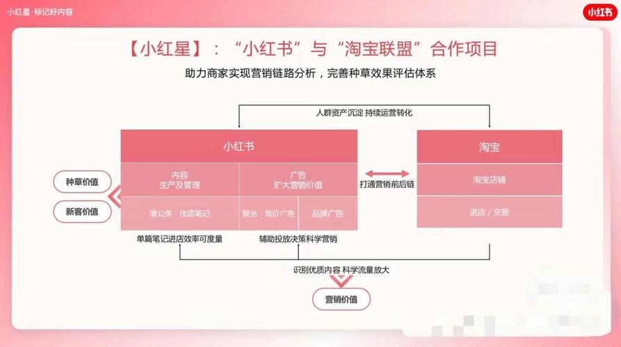 小红书COO柯南带电商业务_小红书组织架构调整 社区部合并电商部_小红书业务下单平台