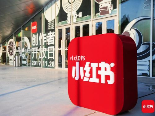 小红书涨粉平台_小红书创作者123计划_小红书创作者开放日