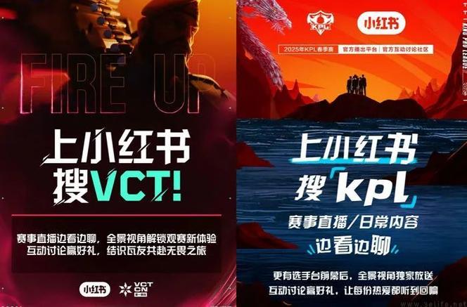 小红书VCT CN联赛官方社区_小红书电竞内容生态布局_小红书涨粉平台
