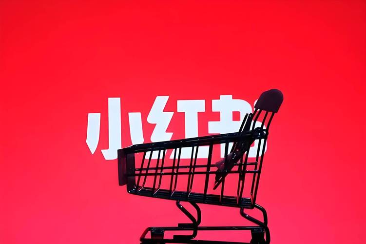 双11流量转化效果分析_小红书业务网站_小红书电商发展困境