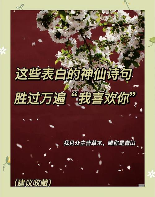 买快手热度网址_快手热度网站免费_似花还似非花无人惜从教坠
