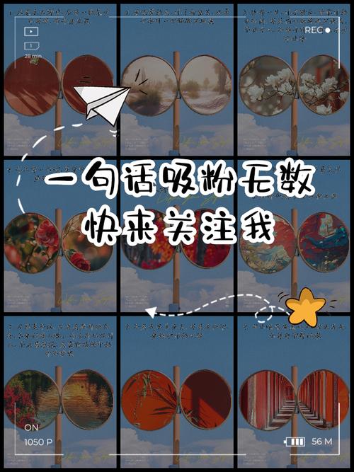 快手买热门_快手生活分享主播_熊熊山曲正能量内容