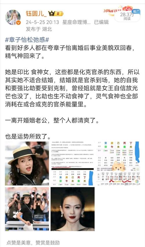 新浪微博真实粉丝数计算_抖音有效粉丝是怎么认定的_微博真粉率查询方法