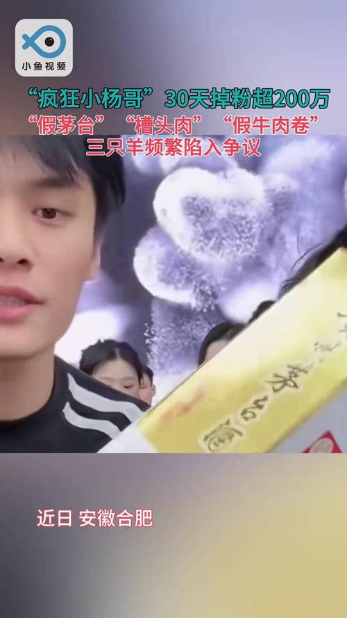 小杨哥抖音掉粉近1000万_小杨哥停播93天粉丝流失分析_抖音粉丝如何快速增加到1000
