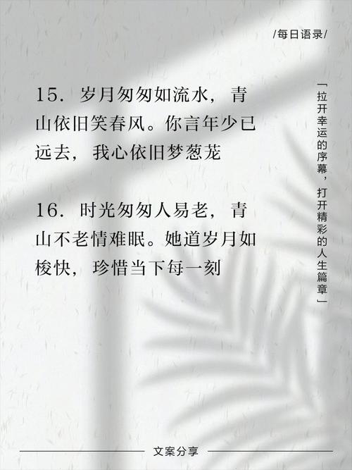 随缘说说赞_qq说说网站便宜_云说说赞