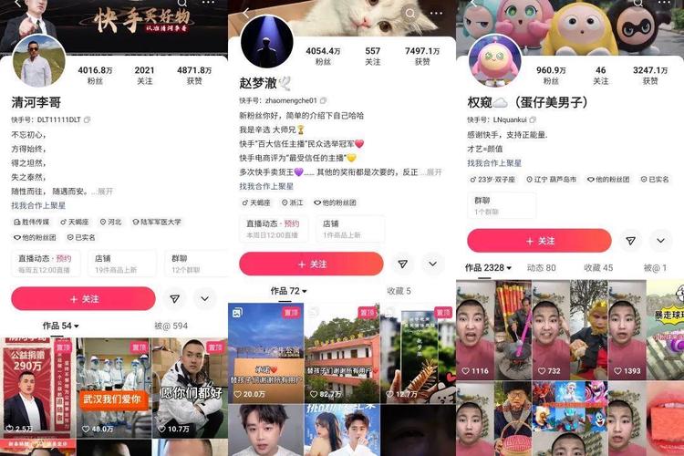 抖音刷粉丝平台_抖音双击自助平台24小时全网最低_快手免费播放量神器