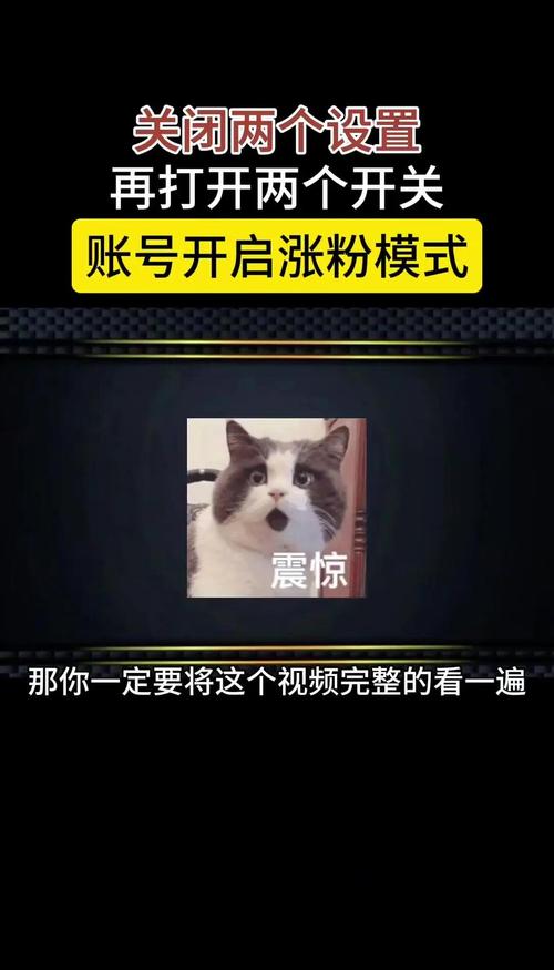 快手快速涨粉技巧_快手涨热度_快手涨粉方法