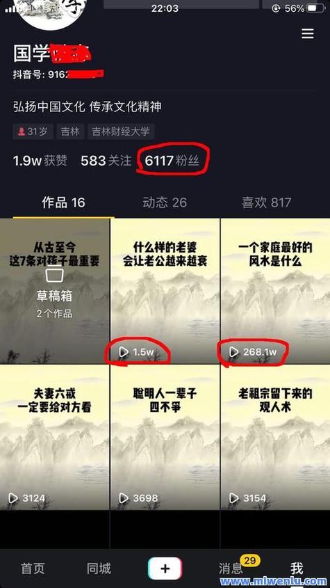 快手播放量网站_CTR快手媒体号评估体系_CTR快手媒体号2019年度榜单