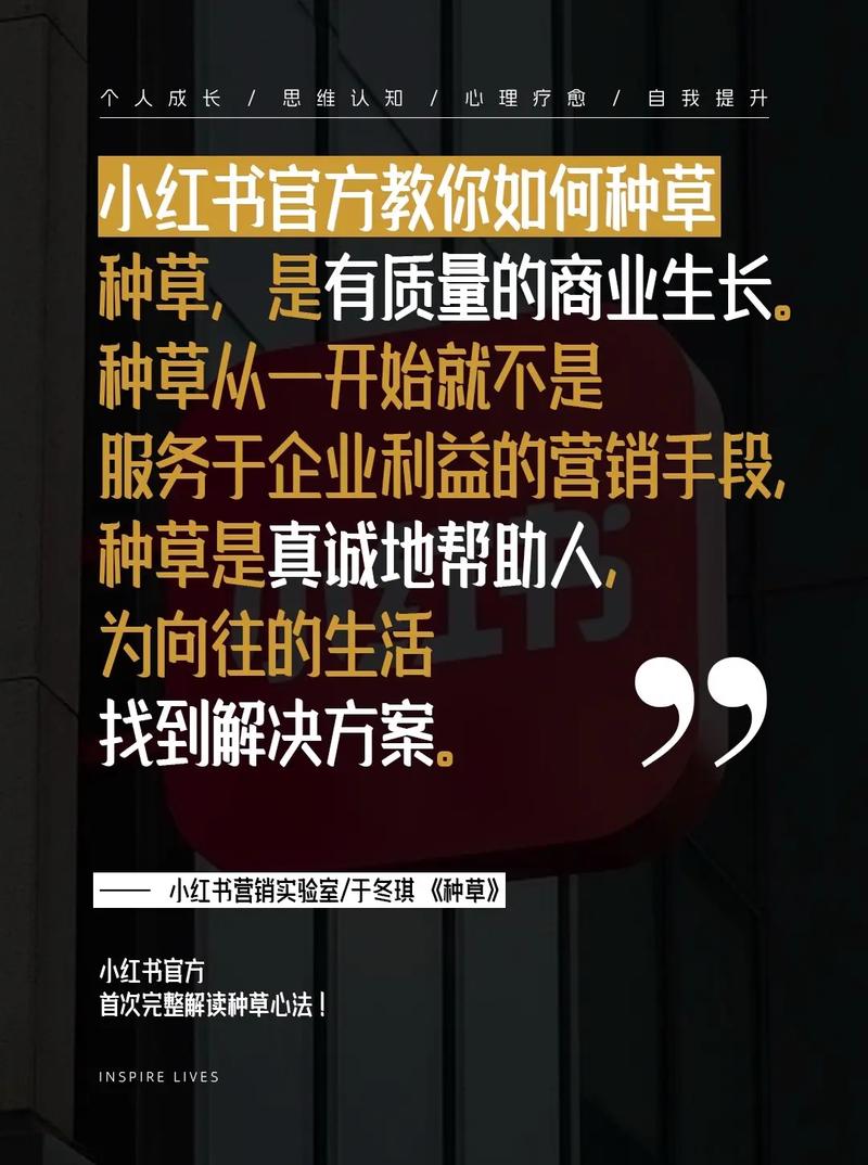 小红书种草电商_小红书业务下单_小红书直播带货攻略