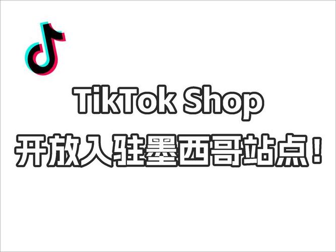 TikTok Shop达人准入要求_TikTok Shop达人类型_tiktok买粉